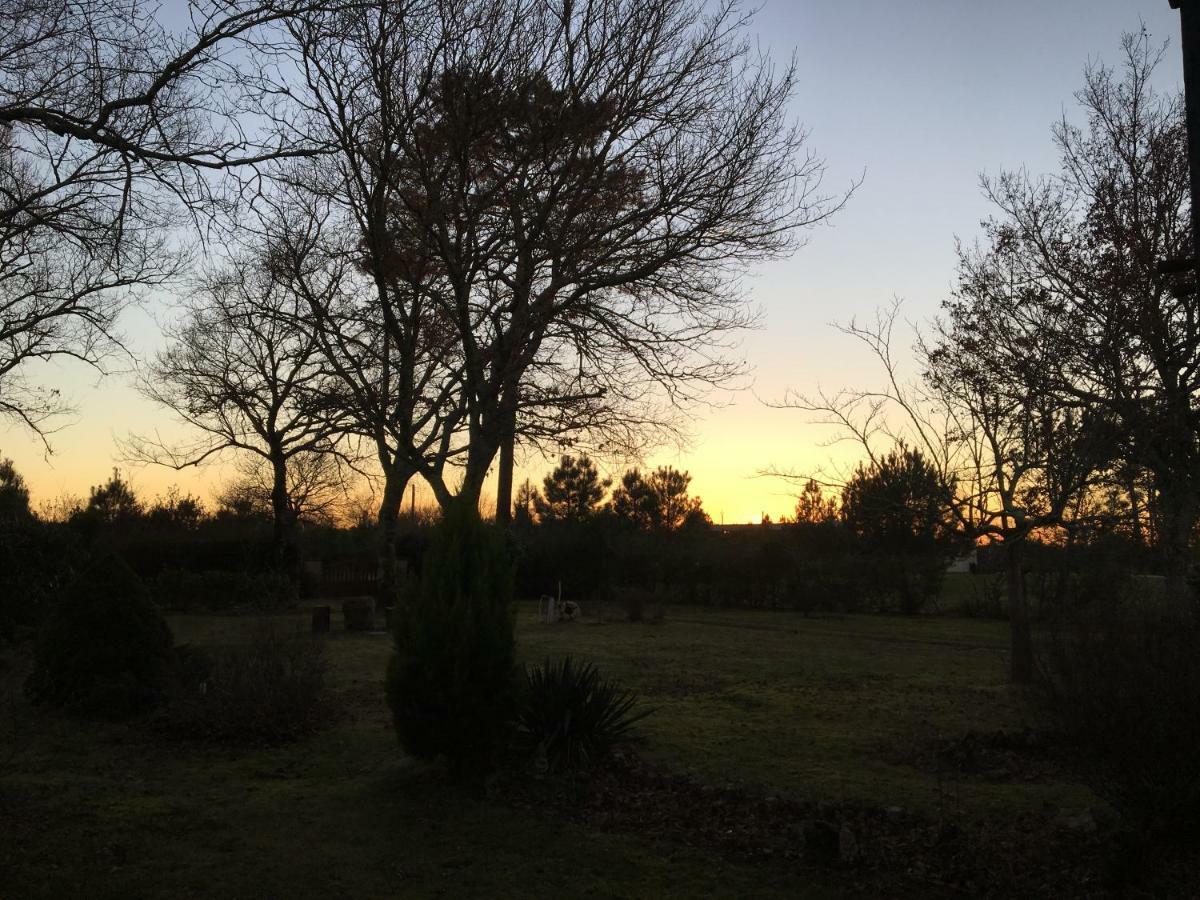 Stemicar Dans Les Landes Daire Lesperon  Dış mekan fotoğraf